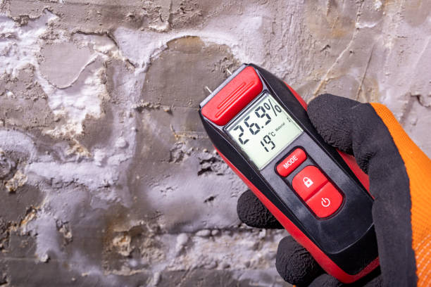 Trusted Eidson Road, TX Mold Remediation Experts