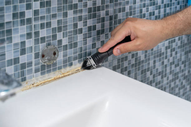 Best Localized Mold Remediation (e.g., coastal areas, humid climates) in Eidson Road, TX
